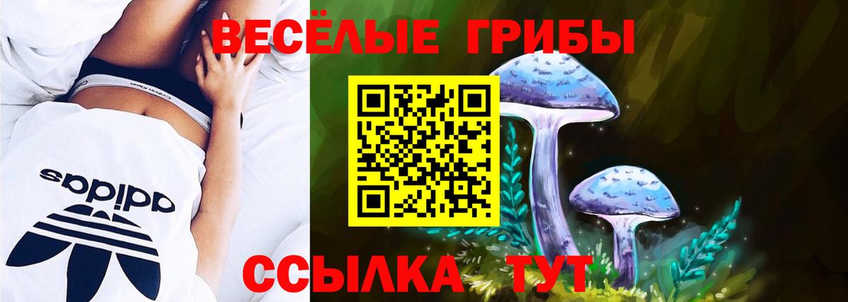 Псилоцибиновые грибы мухоморы  Псилоцибиновые грибы GOLDEN TEACHER  Керчь  Вход с VPN 